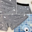 小鯨豚 台灣製棉質男童內褲 2件組【M8807褲】0208