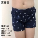 小鯨豚 台灣製棉質男童內褲 2件組【M8807褲】0208